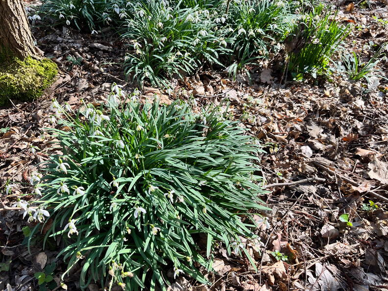 24-03-02 12-51-57 8891